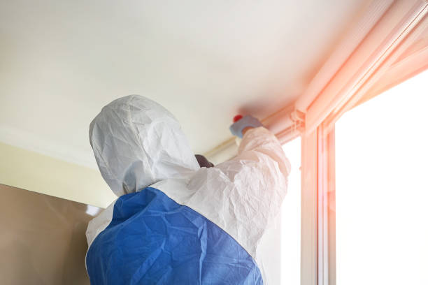 Best Emergency Mold Remediation  in Chickasaw, AL